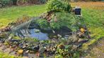 Vijver met pomp en vissen, Tuin en Terras, Vijvers, Ophalen, Gebruikt