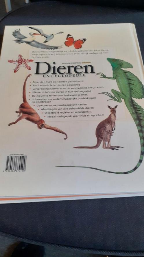 K. MacGhee - Junior Dierenencyclopedie, Boeken, Dieren en Huisdieren, Zo goed als nieuw, Overige diersoorten, Ophalen of Verzenden