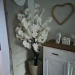 Prachtige witte bloesemboom!, Ophalen, Zo goed als nieuw