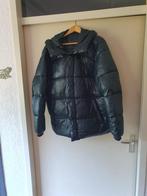 Winterjas C&A, Kleding | Heren, Groen, Maat 56/58 (XL), Nieuw, C&A
