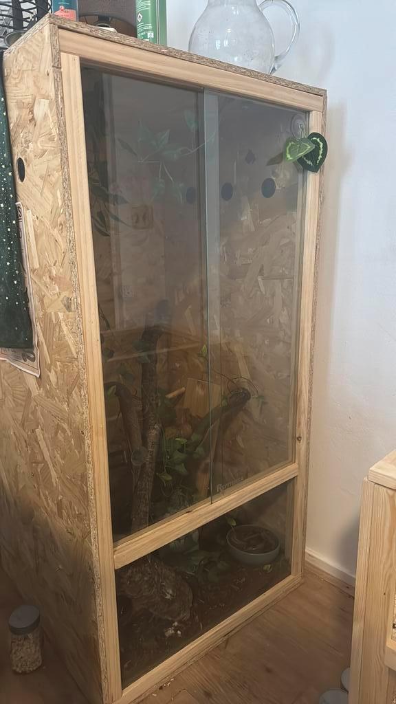 2 terariums te koop !! Zsm weg !, Dieren en Toebehoren, Reptielen en Amfibieën | Toebehoren, Gebruikt, Terrarium of Paludarium
