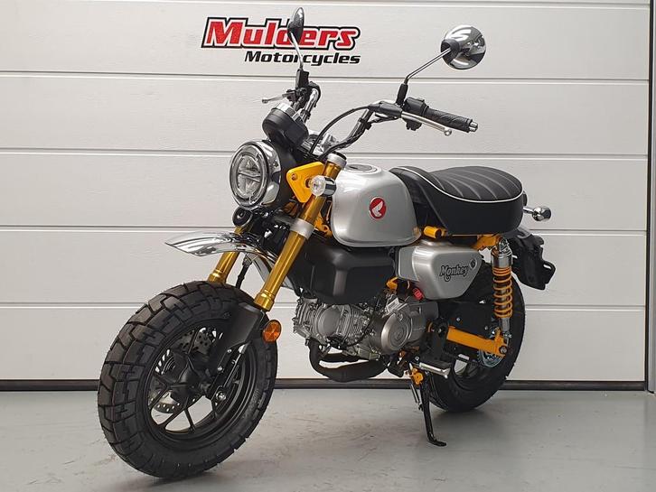 Honda Z 125 MA MONKEY HONDA Z125 MA MONKEY (bj 2025), Motoren, Motoren | Honda, Bedrijf, Naked bike