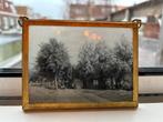 Antiek glazen negatief, plattelandsweg NL, Ophalen of Verzenden, Voor 1940, Gebruikt, Overige onderwerpen