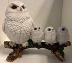 Uil met 3 kleine uiltjes, Ophalen of Verzenden, Nieuw, Dier