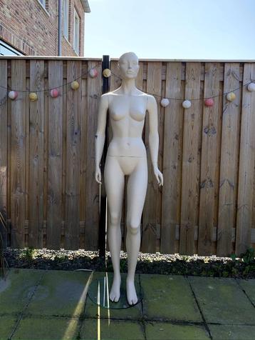 mannequins beschikbaar voor biedingen