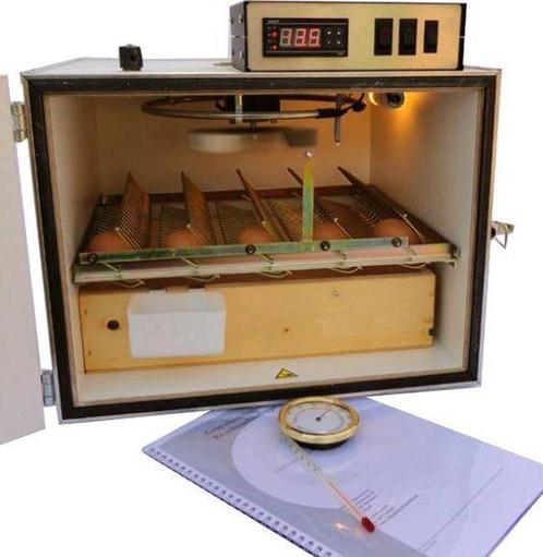 MS Broedmachine Model 35 Halfautomaat + Gratis broedeieren, Dieren en Toebehoren, Pluimvee | Toebehoren, Nieuw, Broedmachine, Ophalen of Verzenden