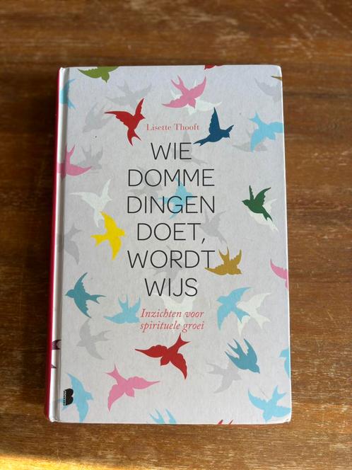 Lisette Thooft - Wie domme dingen doet wordt wijs, Boeken, Esoterie en Spiritualiteit, Zo goed als nieuw, Spiritualiteit algemeen