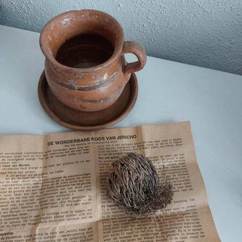 Oud aardewerk potje met schaaltje uit Mexico met roosjericho, Antiek en Kunst, Antiek | Keramiek en Aardewerk, Ophalen of Verzenden