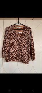 Zara twinset top + shirt, Maat 38/40 (M), Zara, Ophalen of Verzenden, Zo goed als nieuw