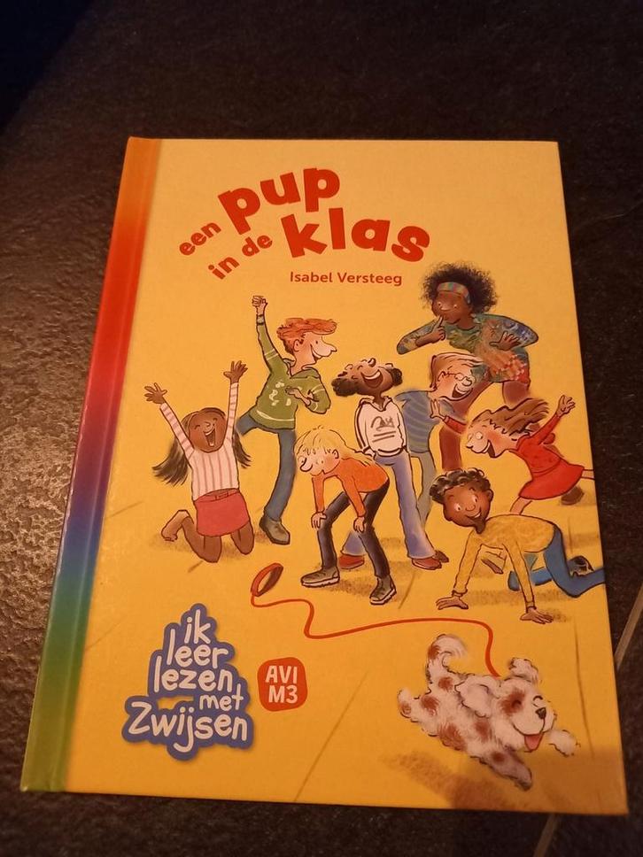 Isabel Versteeg - een pup in de klas, Boeken, Kinderboeken | Jeugd | onder 10 jaar, Zo goed als nieuw, Fictie algemeen, Ophalen of Verzenden