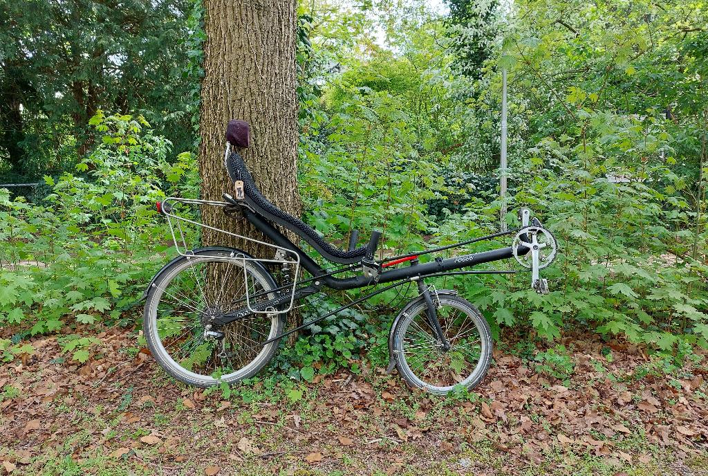 Challenge Focus Sport ligfiets, Fietsen en Brommers, Fietsen | Ligfietsen, Ophalen, Gebruikt, Onderstuur, Challenge