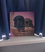Schilderij van twee puppy's in een mand, Minder dan 50 cm, Ophalen of Verzenden, Zo goed als nieuw, Schilderij