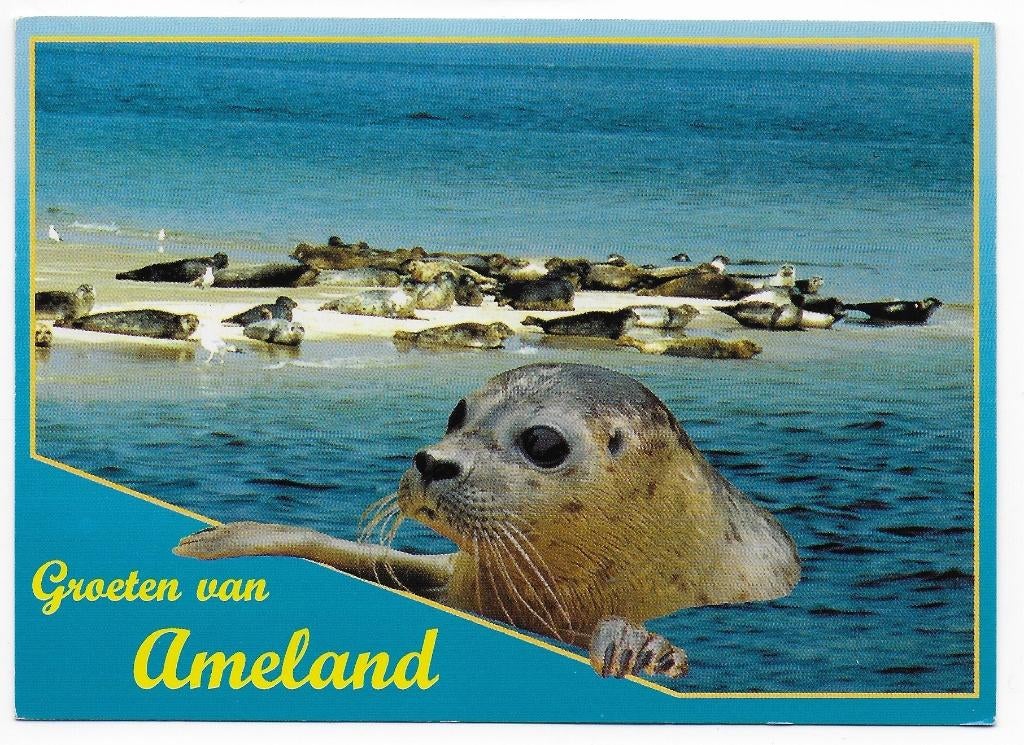 Ameland gelopen Ansichtkaart (B2437), Ophalen of Verzenden, 1980 tot heden, Gelopen, Waddeneilanden