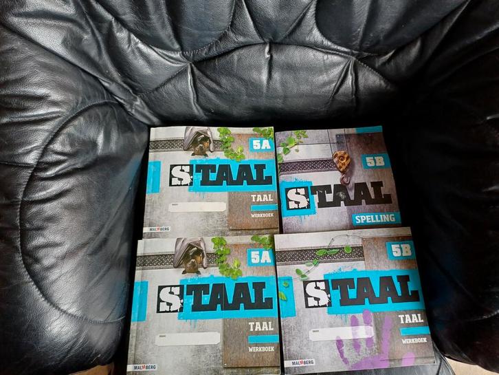 Extra steun bij Ned taal groep 7-8 A en B boek +spelling., Tickets en Kaartjes, Evenementen en Festivals, Eén persoon