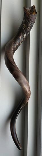 KUDU SHOFAR 90CM, Ophalen of Verzenden