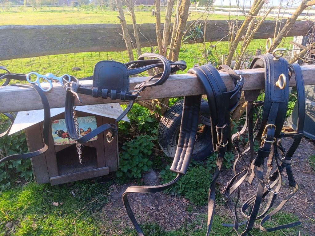 Nieuw zwart tuig van leer maat shetlander., Dieren en Toebehoren, Paarden en Pony's | Hoofdstellen en Tuigage, Ophalen of Verzenden
