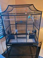 Mooie ruime vogelkooi met Engelse parkieten, Dieren en Toebehoren, Ophalen, Zo goed als nieuw, Metaal, Vogelkooi