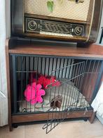 Mooie bench, Dieren en Toebehoren, Hondenbenches, Ophalen of Verzenden, Zo goed als nieuw