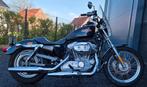 Harley-Davidson Sportster Low 883, Chopper, Bedrijf, 883 cc