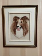 Prachtig schilderij  sheltie, Ophalen of Verzenden, Zo goed als nieuw, Schilderij, Minder dan 50 cm