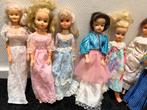 Een verzameling van 9 - poppen in diverse stijlen, Ophalen of Verzenden, Zo goed als nieuw, Pop