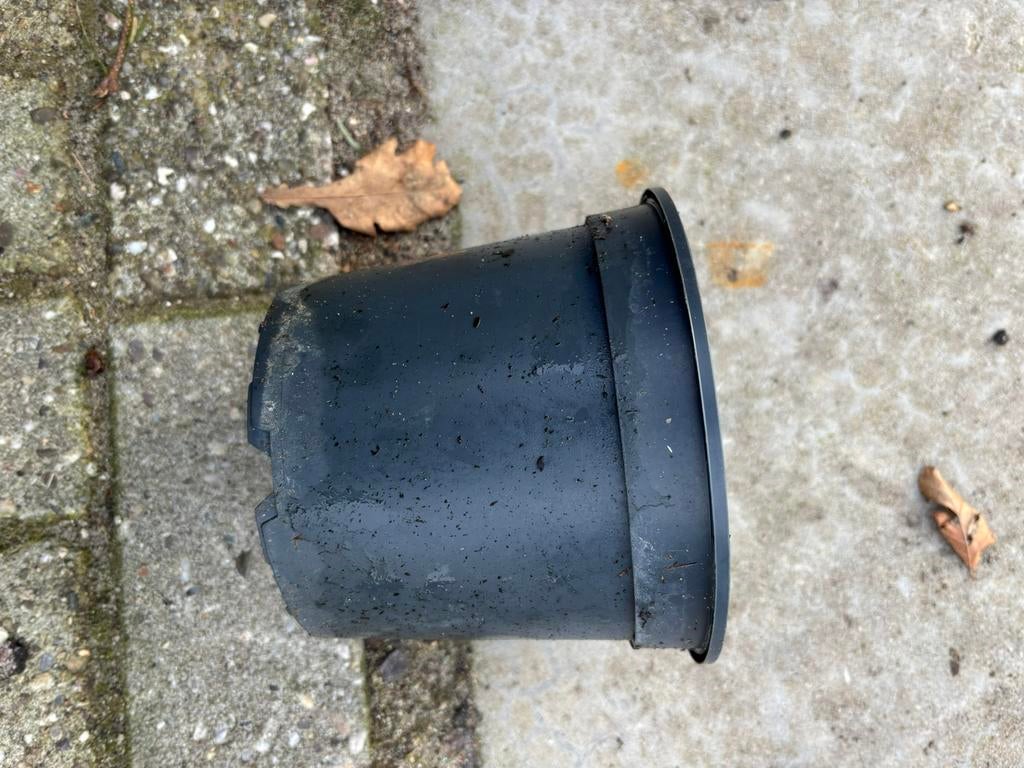 Kweekpotjes partij, Tuin en Terras, Ophalen, Rond, Zo goed als nieuw, Aardewerk