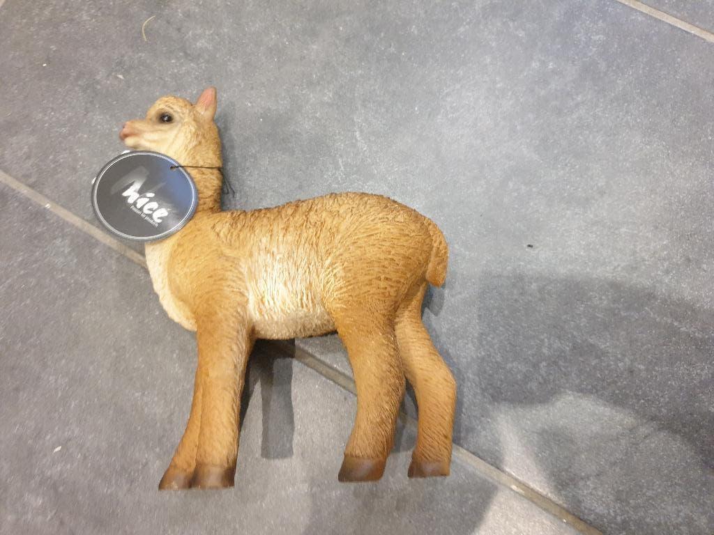 beeld polyresign alpaca bruin nieuw, Ophalen of Verzenden, Nieuw, Dier