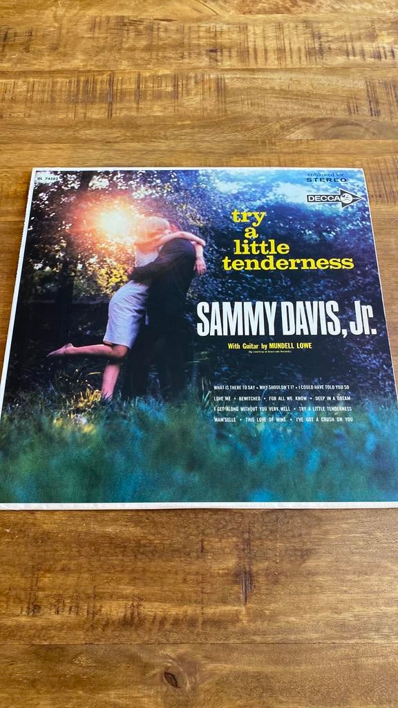 Vinyl lp Sammy Davis Jr - Try a little tenderness, 1960 tot 1980, Ophalen of Verzenden, Zo goed als nieuw, 12 inch