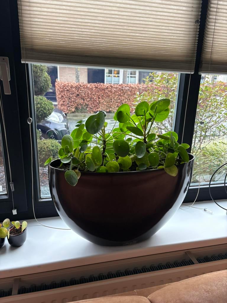 2 zwarte bloembakken H35 D60, Tuin en Terras, Ophalen, Kunststof, Zo goed als nieuw, Binnen