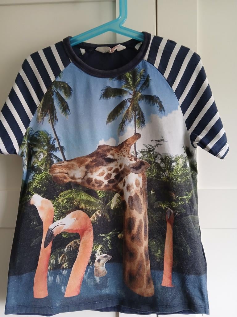 H&M T-shirt maat 134/140 met giraf en flamingo's, Gebruikt, Jongen of Meisje, H&M, Ophalen of Verzenden