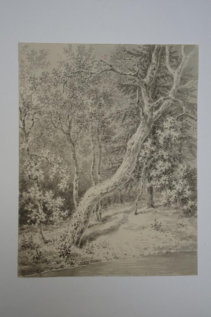 aquarel bomen in bos aan water, Honig 1820 omg. Favenraad, Verzenden