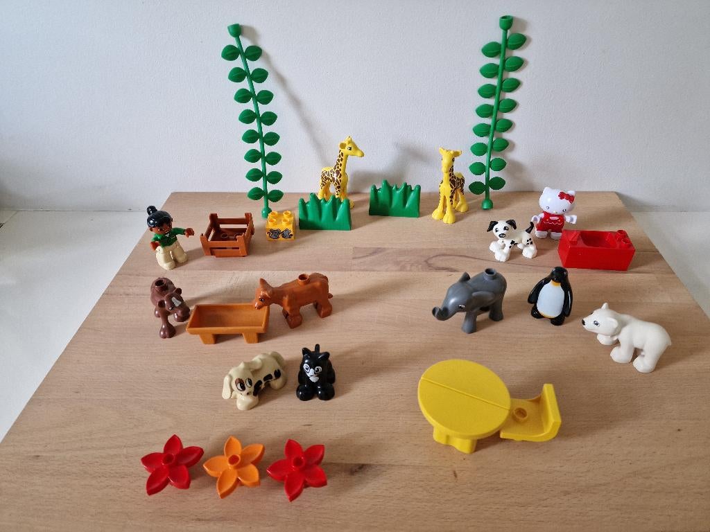 Duplo themasets, Kinderen en Baby's, Speelgoed | Duplo en Lego, Ophalen of Verzenden, Gebruikt, Duplo