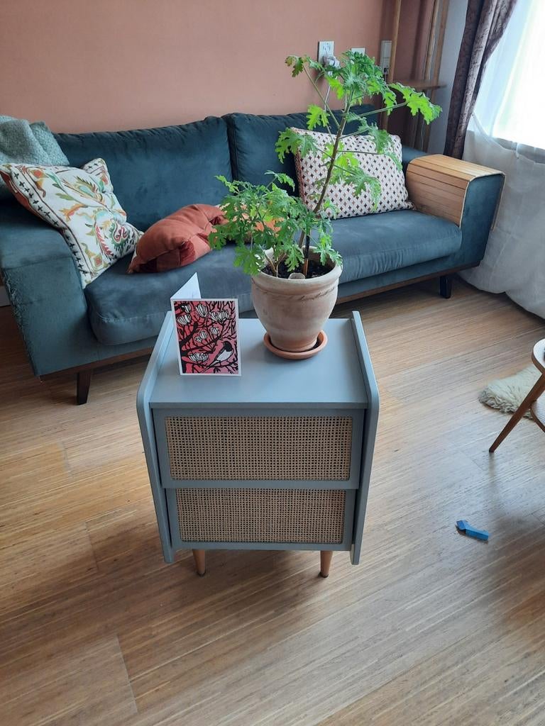 Lade kastje met rotan frontjes, Huis en Inrichting, Kasten | Ladekasten, Gebruikt, Minder dan 100 cm, Minder dan 50 cm, 25 tot 50 cm