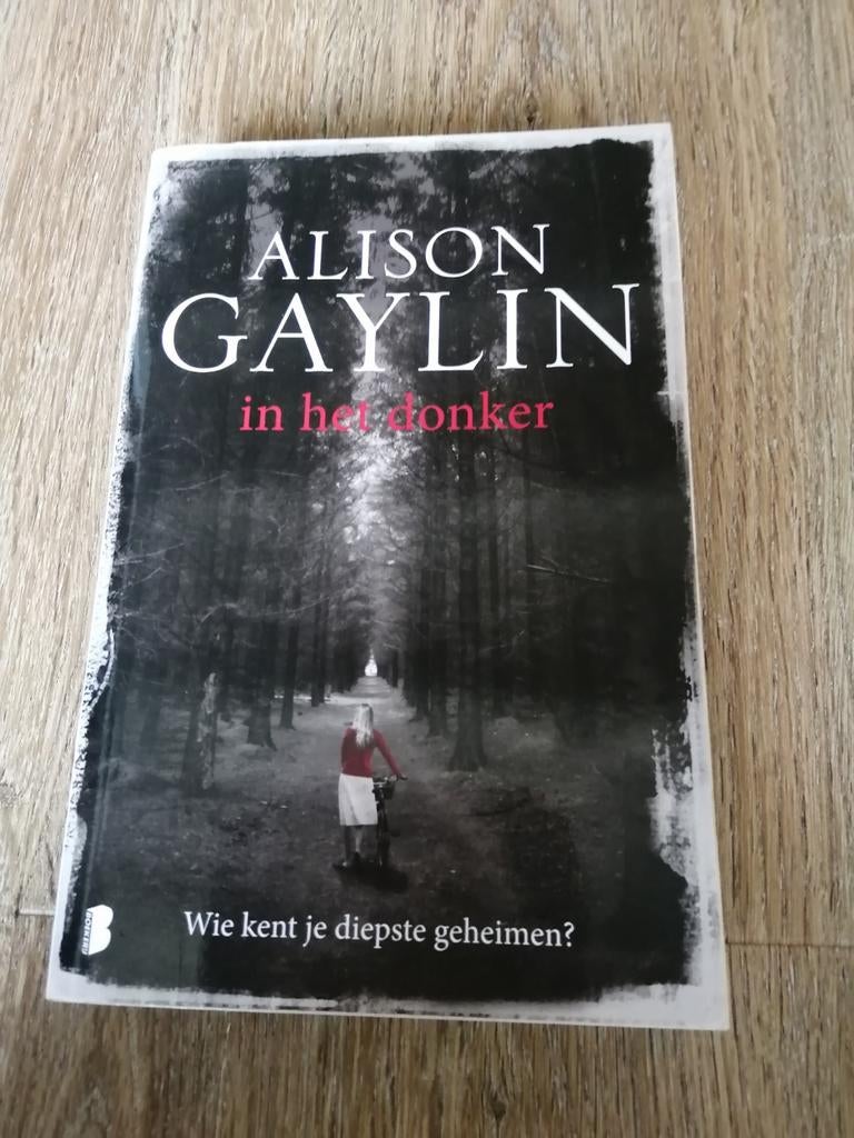 Alison Gaylin - In het donker, Ophalen of Verzenden, Gelezen, Alison Gaylin
