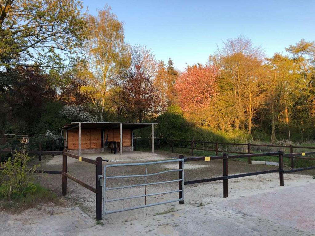 Gezocht voor twee merries, Weidegang