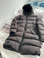 Winterjas Airforce, Ophalen of Verzenden, Zo goed als nieuw, Zwart