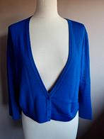 Kobalt blauw kort stretch vest van Claudia Sträter, maat M, Maat 38/40 (M), Blauw, Ophalen of Verzenden, Zo goed als nieuw