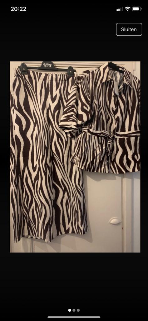 Zara Zebra Print Broek en Blouse Set, Kleding | Dames, Blouses en Tunieken, Ophalen of Verzenden, Zo goed als nieuw, Maat 38/40 (M)