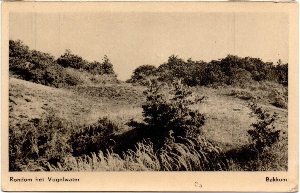 Bakkum  Rondom het Vogelwater, Ophalen of Verzenden, Ongelopen, Noord-Holland