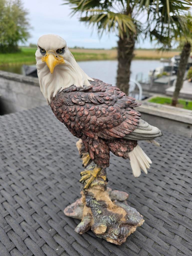 Beeldje van Amerikaanse zeearend, Ophalen of Verzenden, Zo goed als nieuw