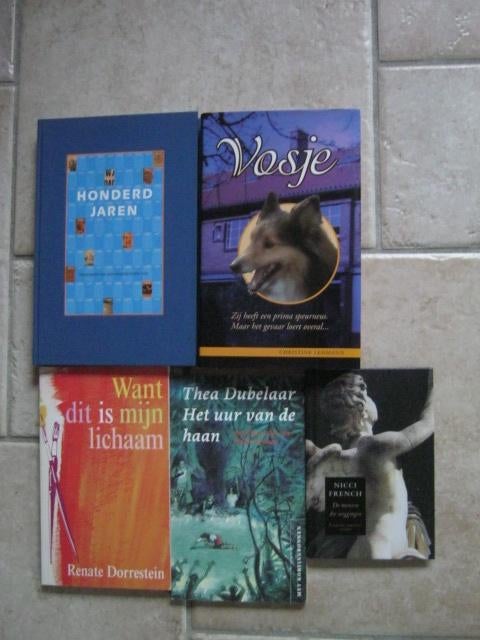 Vosje  Nicci Honderd jaren Uur Lichaam  nr 8009, Boeken, Verzenden, Zo goed als nieuw