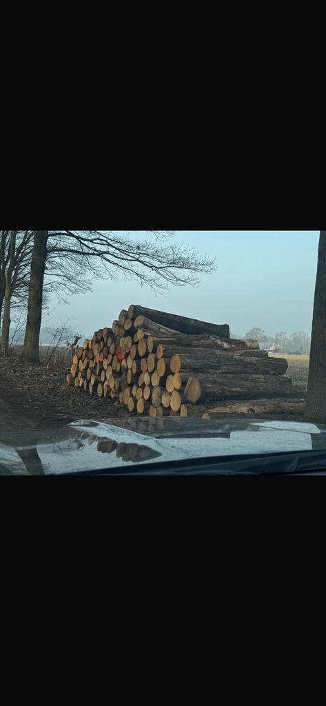 Mooie vracht stammen, Amerikaanse Eik, 6 m³ of meer, Ophalen of Verzenden