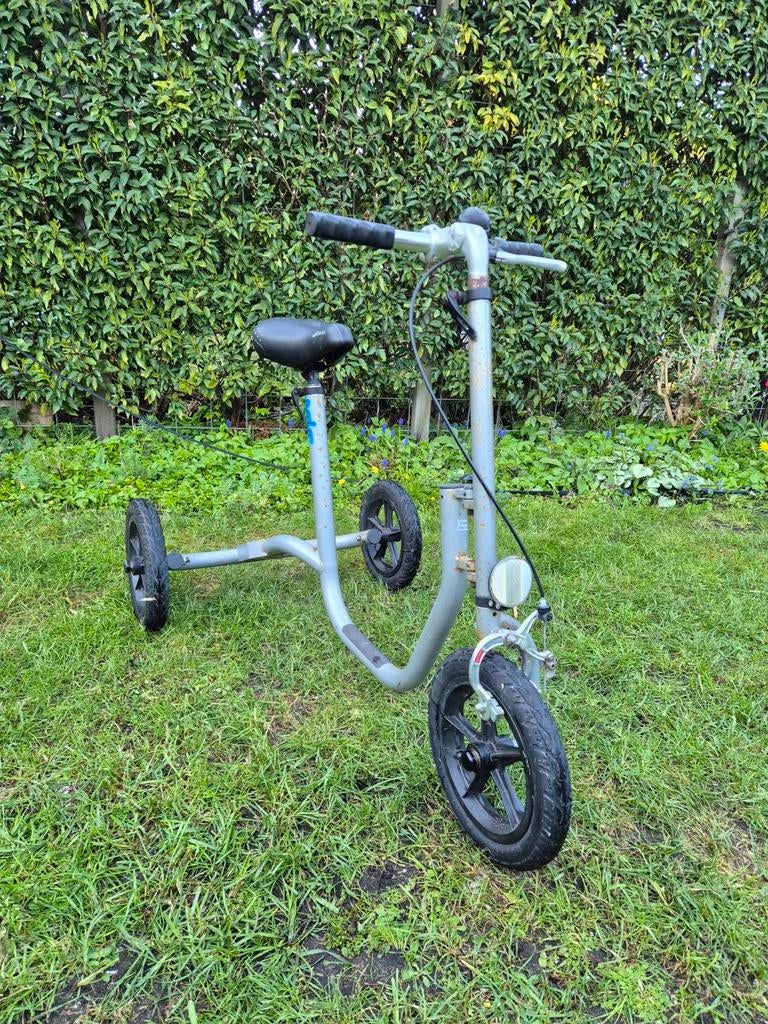 Driewiel loopfiets voor volwassenen van Rollick, Ophalen