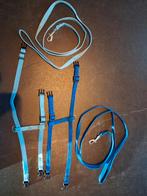 Kitten katten tuigjes 2 stuks, Ophalen