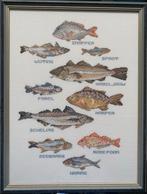 Prachtig schilderij Vis soorten - mooie lijst -, Ophalen, Zo goed als nieuw, Overige typen