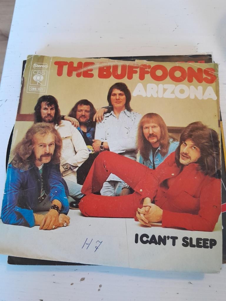 The buffoons 7inch Arizona, Cd's en Dvd's, Ophalen of Verzenden, Zo goed als nieuw, Pop