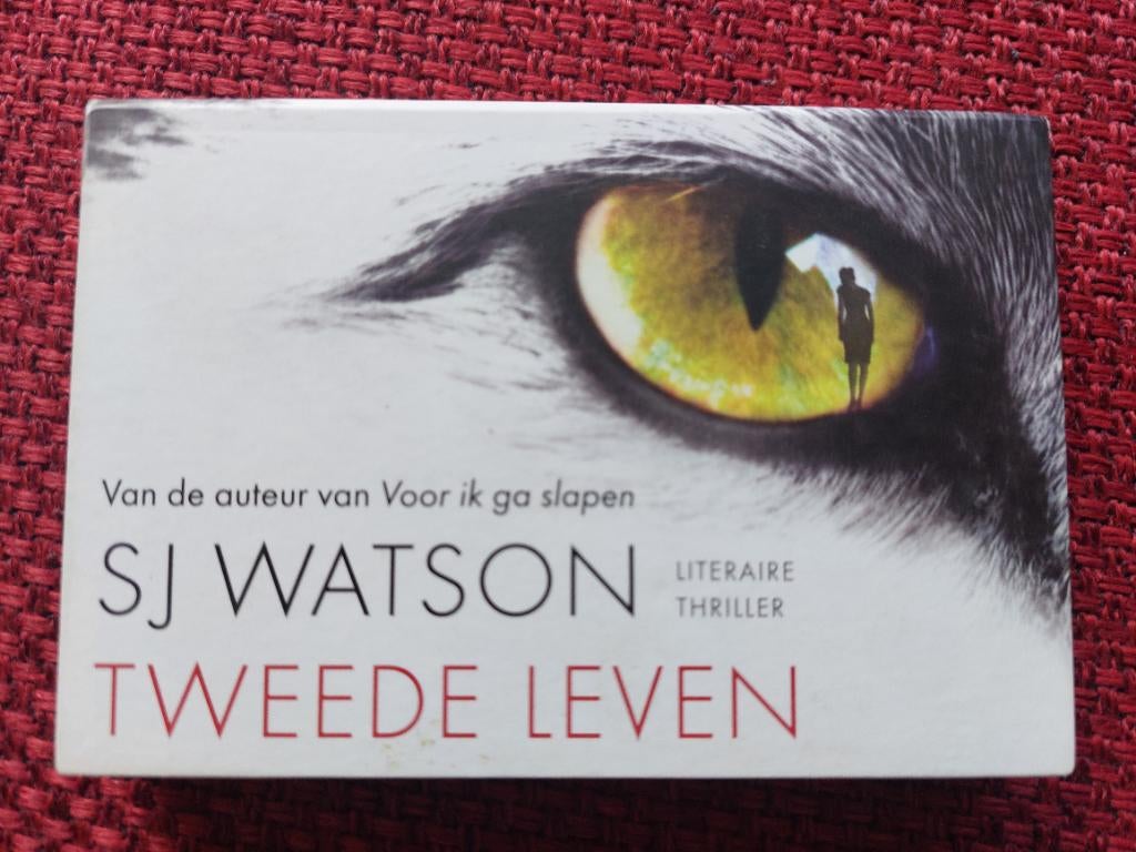 Tweede leven - SJ Watson - dwarsligger 338, Boeken, Ophalen of Verzenden, Gelezen, SJ Watson