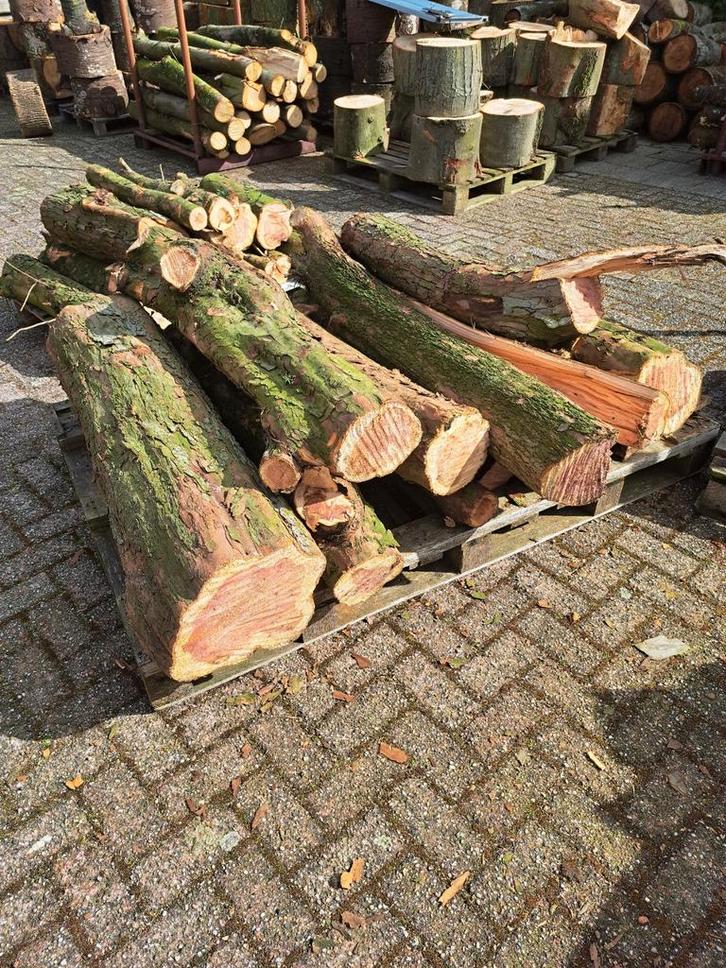 Vers gezaagde  taxus, Tuin en Terras, Haardhout, Minder dan 3 m³, Ophalen