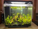 Aquarium Superfish Home 40L, Ophalen, Gebruikt, Leeg aquarium