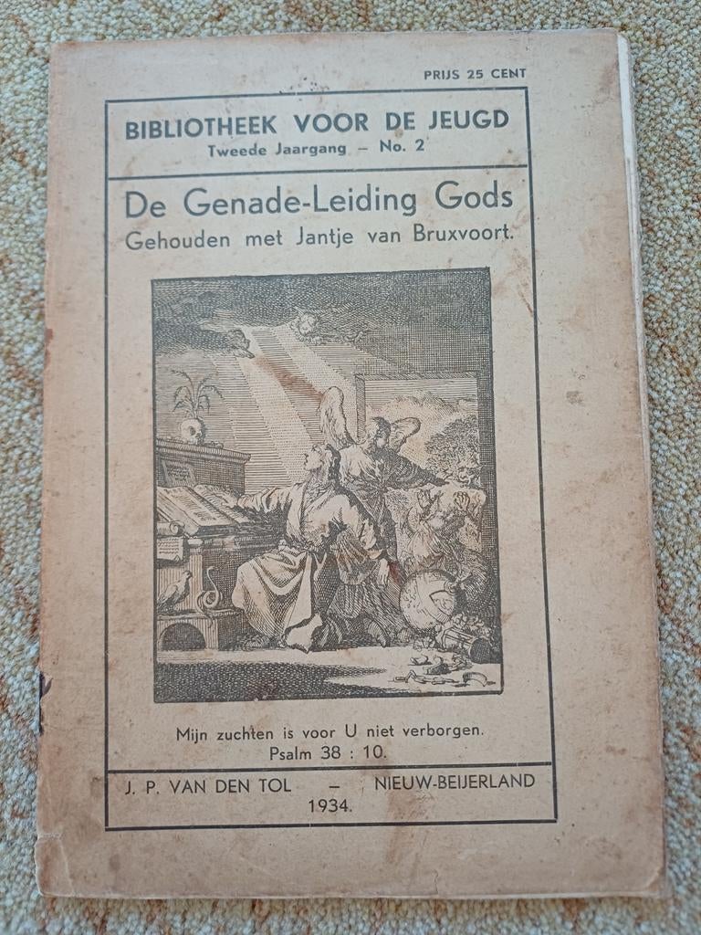 De Genade-Leiding Gods - Bibliotheek voor de Jeugd, Ophalen of Verzenden, Gelezen, J. P. van den Tol, Christendom | Protestants